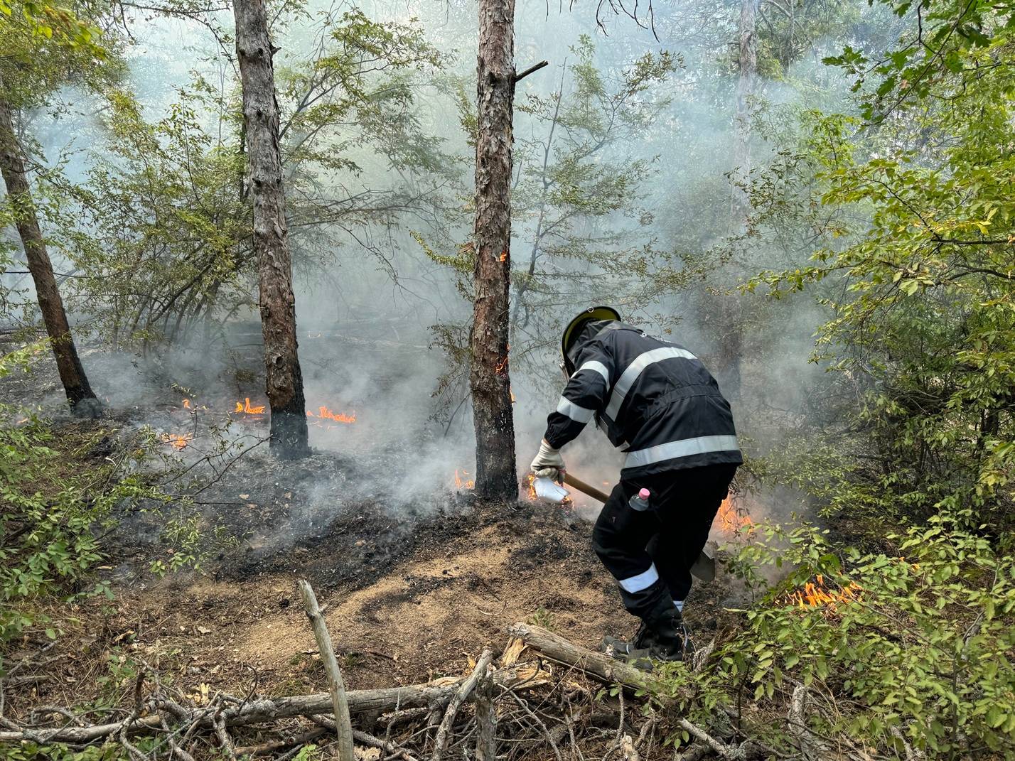  Фондацията на Кока-Кола ХБК подари 200 000 лева за поддръжка на доброволците в битката с горските пожари в България 